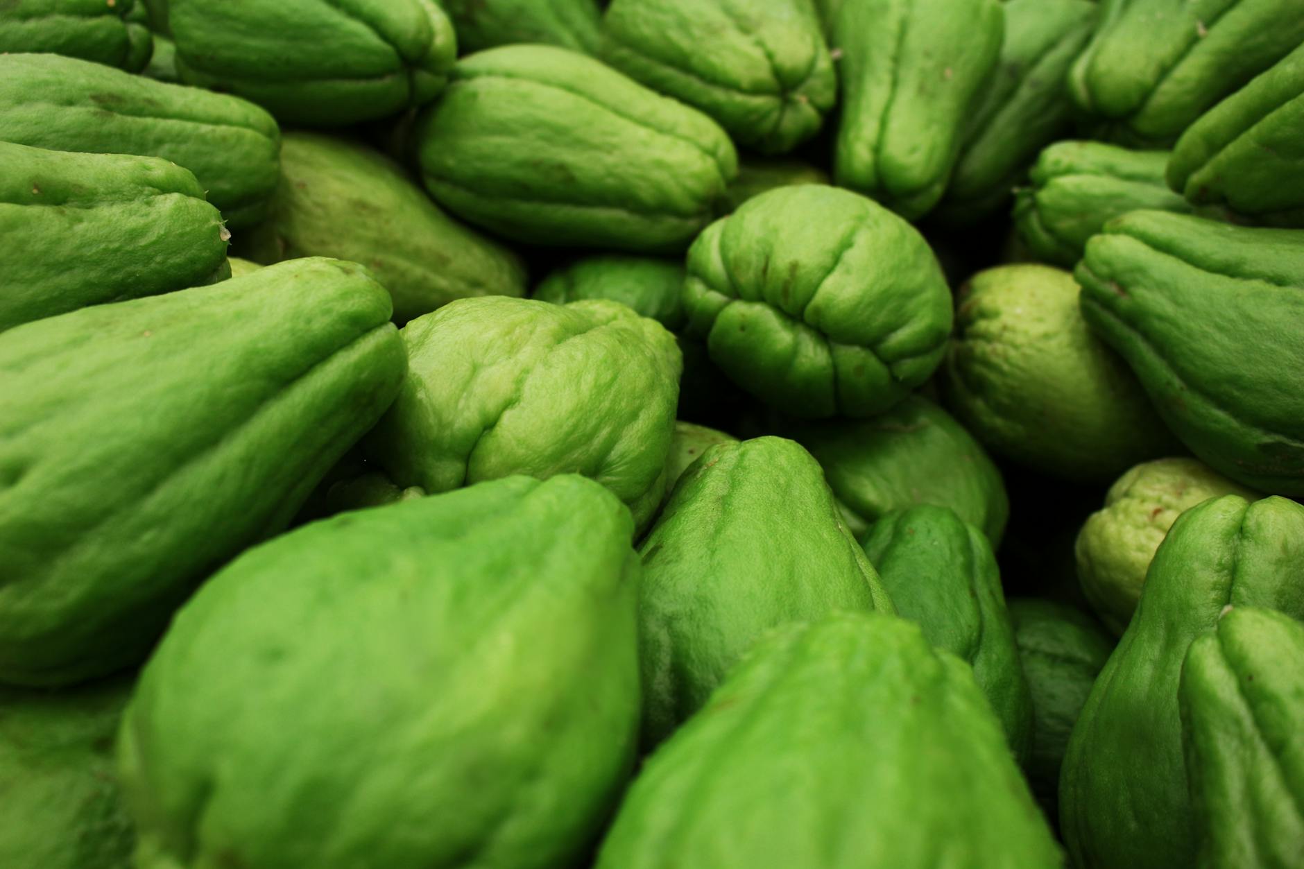 green fresh chayote in close up photography