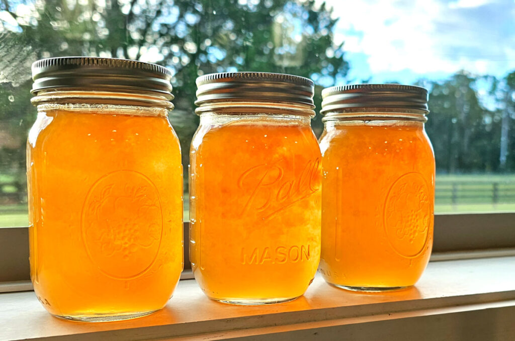 3 pint jars of maypop jelly sitting on a windowsill with the sunlight shining through the jars.