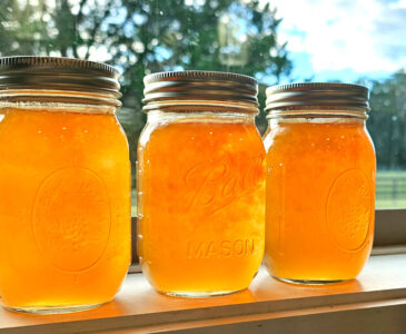 3 pint jars of maypop jelly sitting on a windowsill with the sunlight shining through the jars.