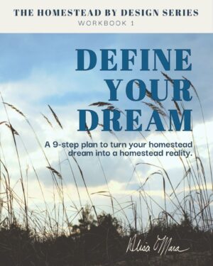 Cover image for workbook titled: Homestead by Design Workbook 1 - Define Your Dream