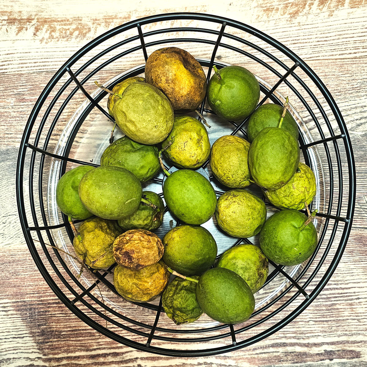 black wire basket holding egg-shaped maypop fruits in a variety of ripeness stages.