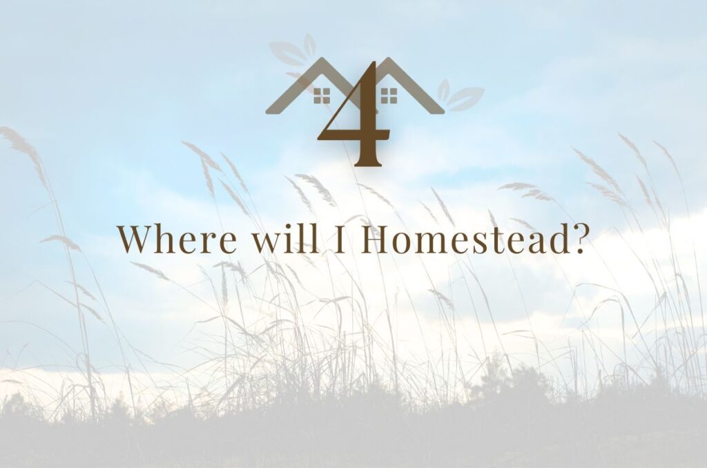 Step 4: Where Will I Homestead?