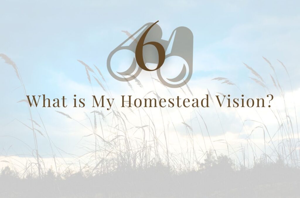 Step 6: What is My Homestead Vision?