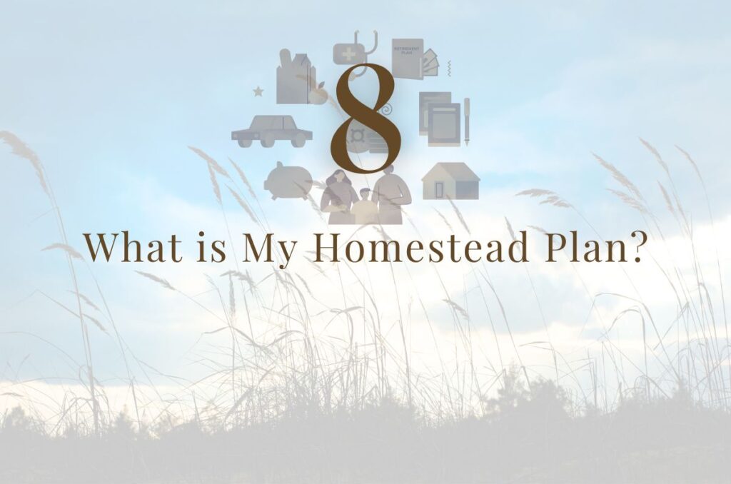 Step 8: What is My Homestead Plan?