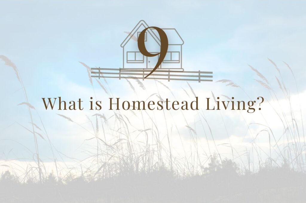 Step 9: What is Homestead Living?