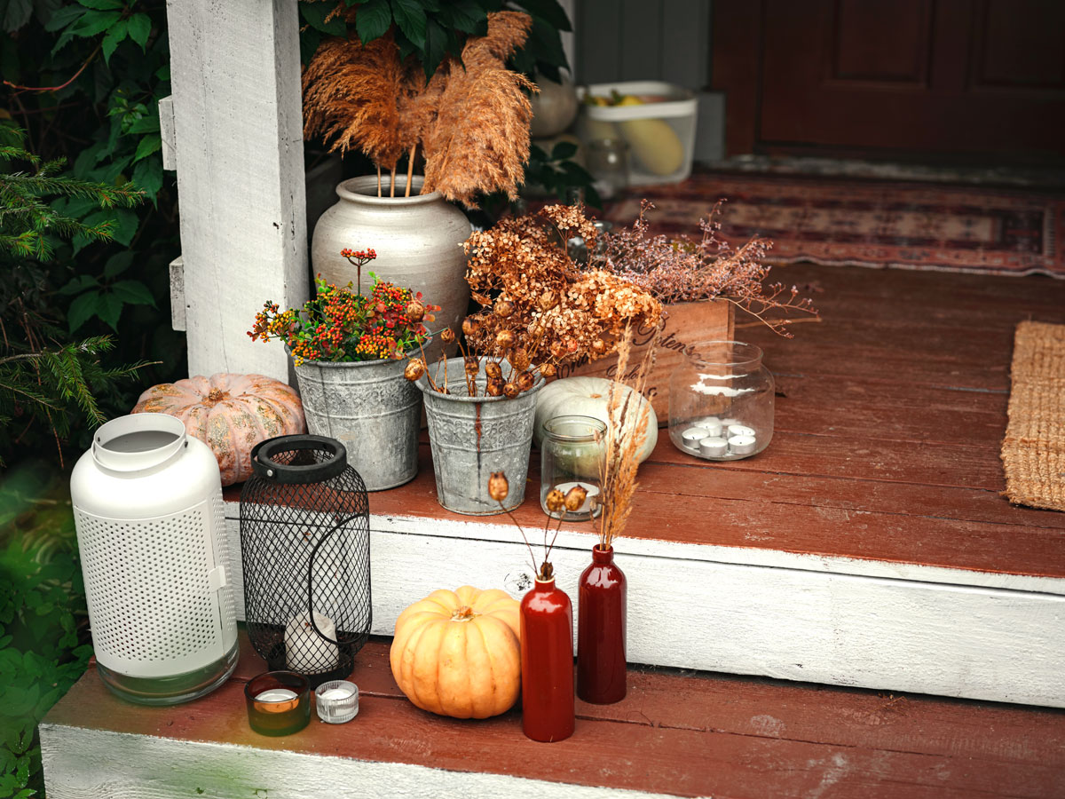 40 Frugal Fall Ideas for Your Homestead - Our Frugal Florida Homestead