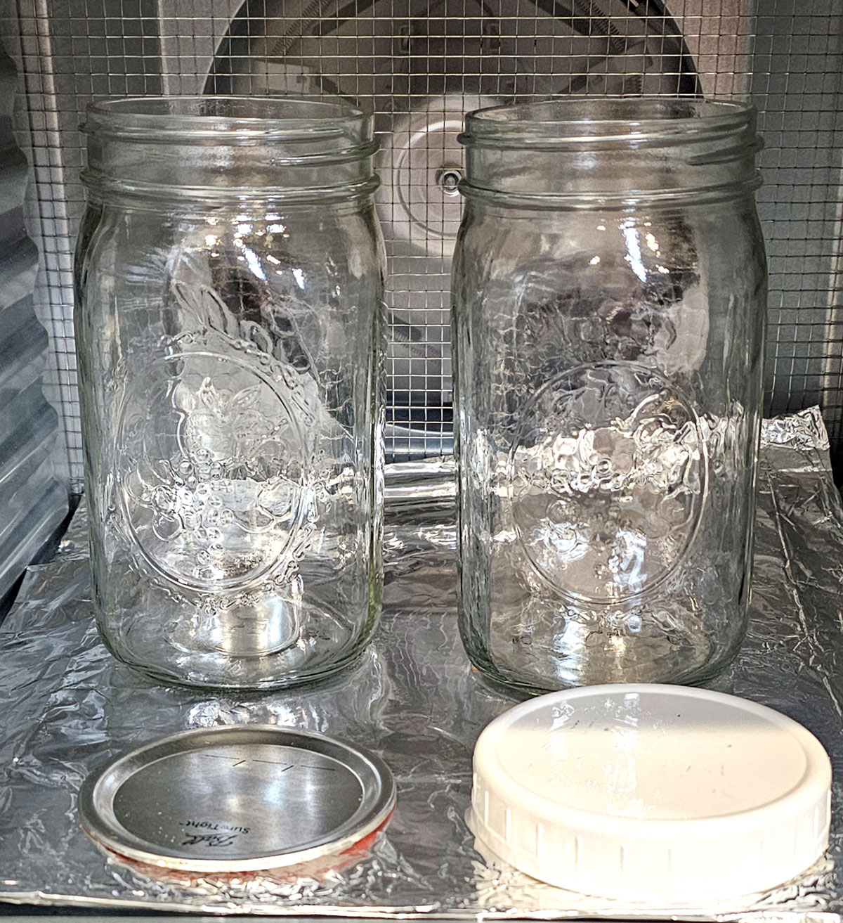 2 quart jars warming in a dehydrator, one has a metal canning lid, the other a plastic screw-on lid.