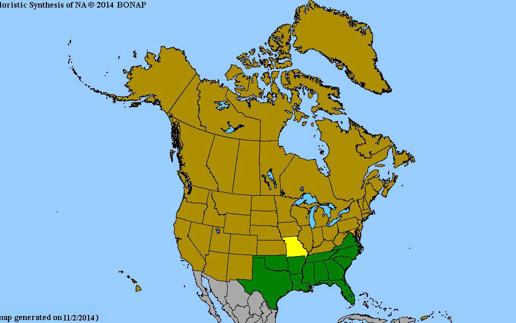 Map of official location of American Beautyberry in North America.