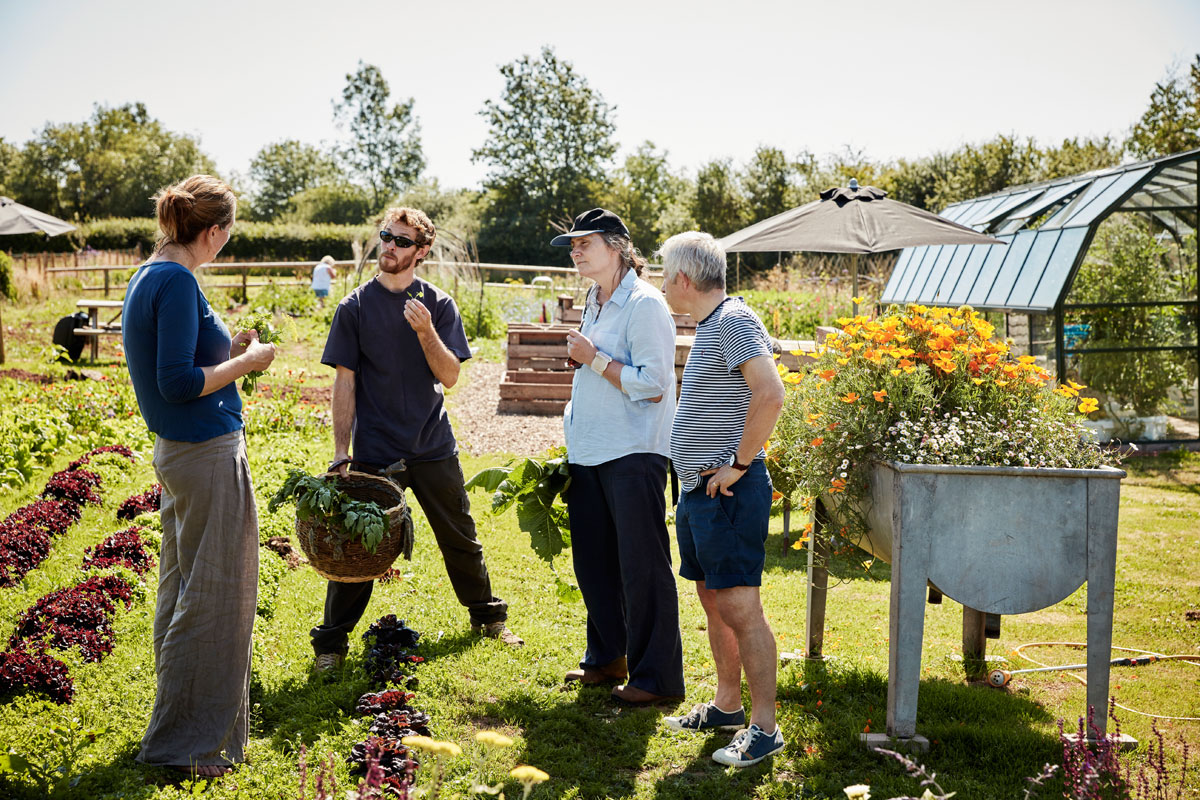 A woman and three other people standing in a garden. They are discussing gardening techniques. It's a sunny day and there's a greenhouse and rows of garden vegetables in the background. They are standing next to a raised garden bed.