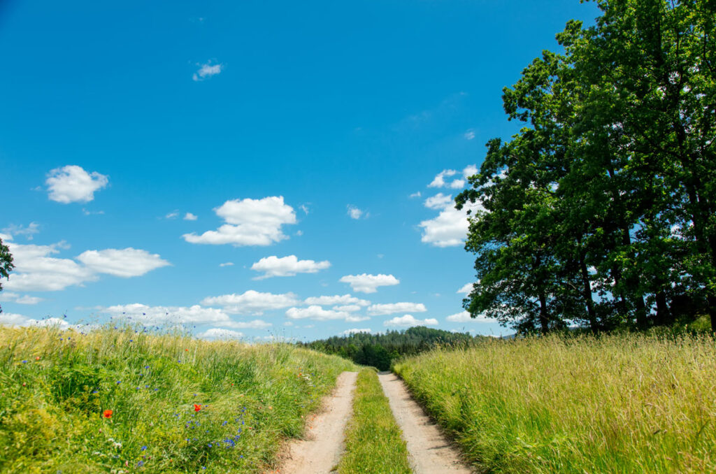 Photo of a country lane leading uphill inspiring the reader to anticipate viewing their new homestead just over the hill. It's summer with grass, green trees, and blue sky with white fluffy clouds.