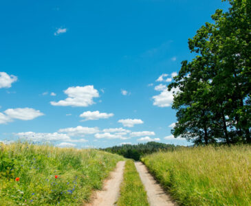 Photo of a country lane leading uphill inspiring the reader to anticipate viewing their new homestead just over the hill. It's summer with grass, green trees, and blue sky with white fluffy clouds.