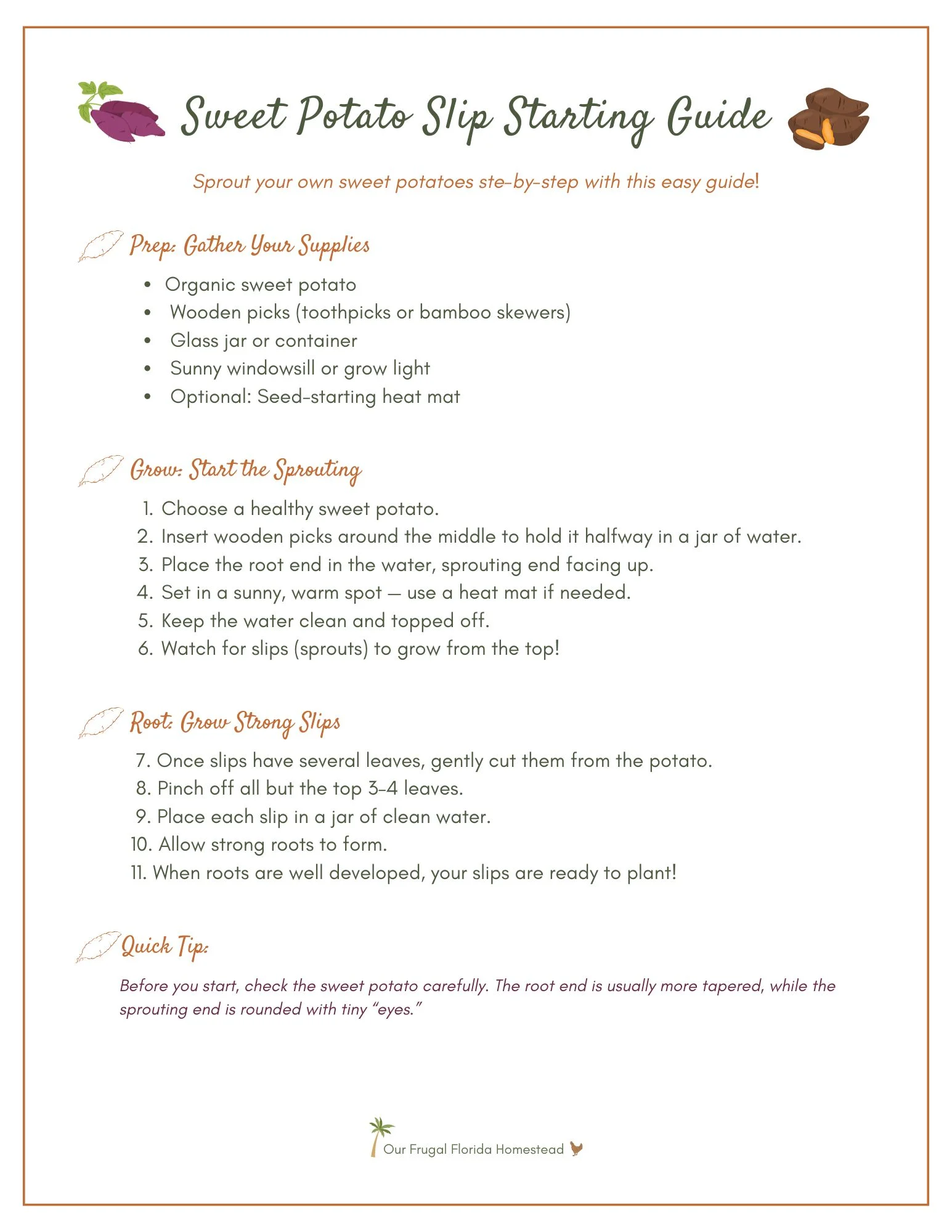 Image of Sweet Potato Sprouting Checklist