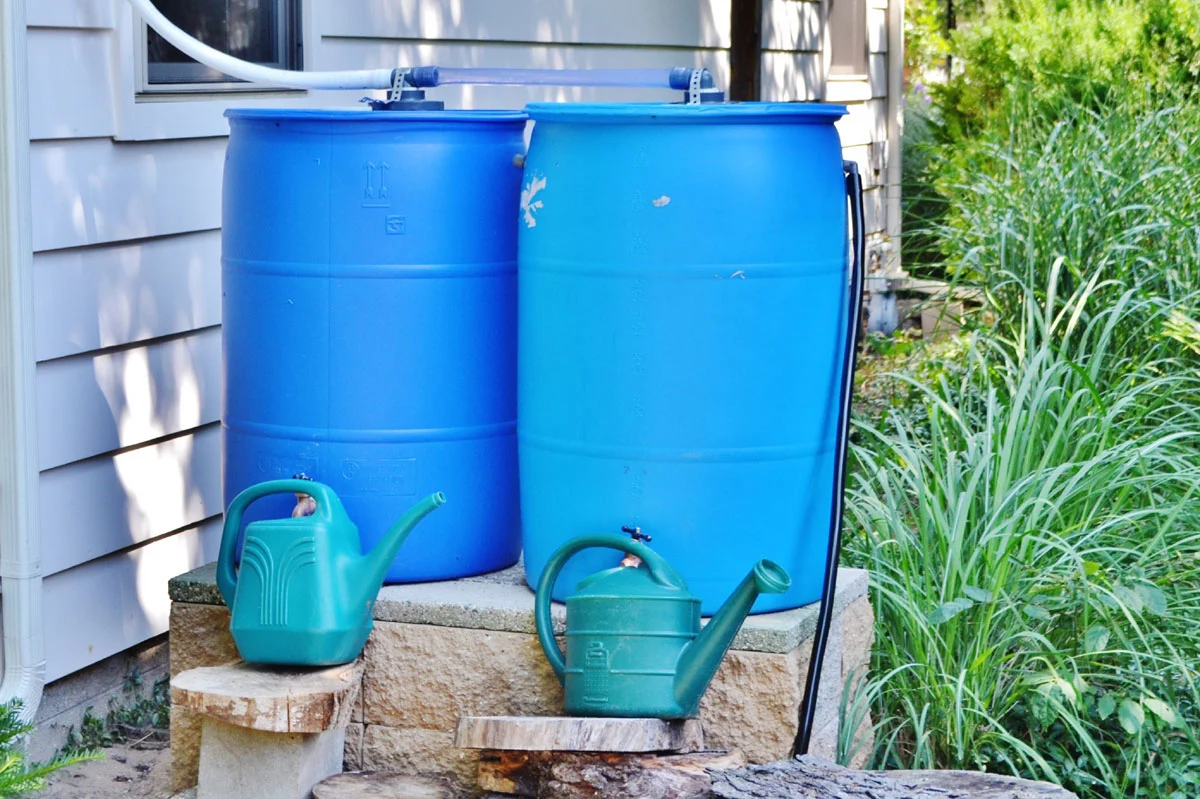 Two rain barrels next to a house on raised blocks. Two watering cans sit in front of them.