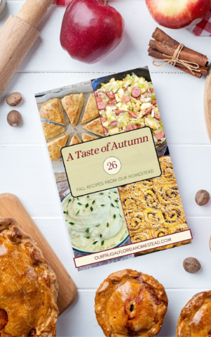 Cover of book A" Taste of Autumn: 26 Fall Recipes From Our Homestead"