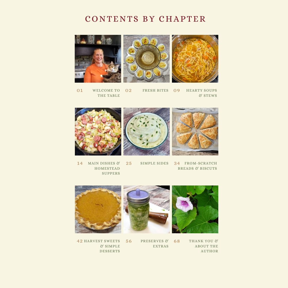 Image of table of contents by chapter. Each chapter has a photo of a prepared recipe above it.