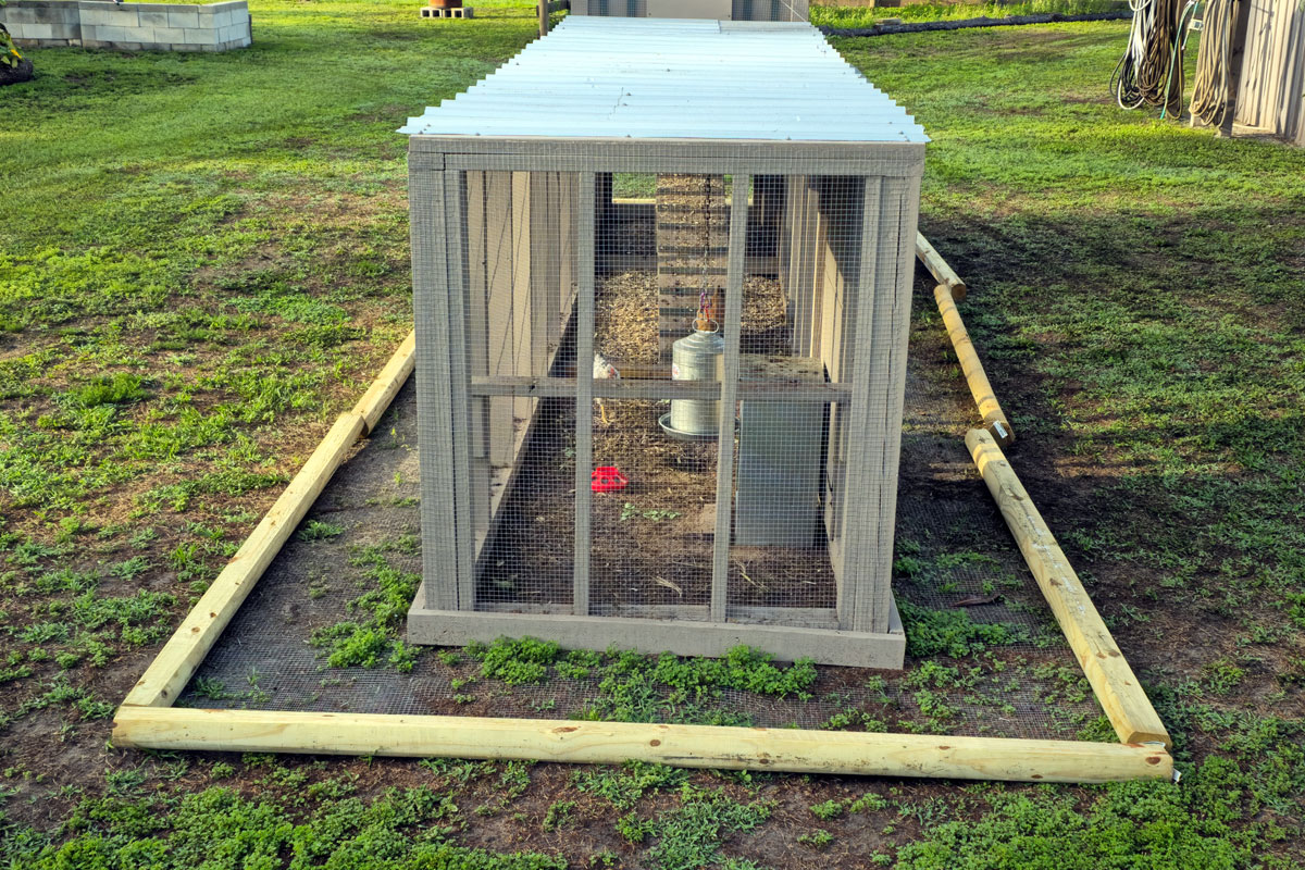 Photo of chicken run with hardware cloth predator apron and walls.