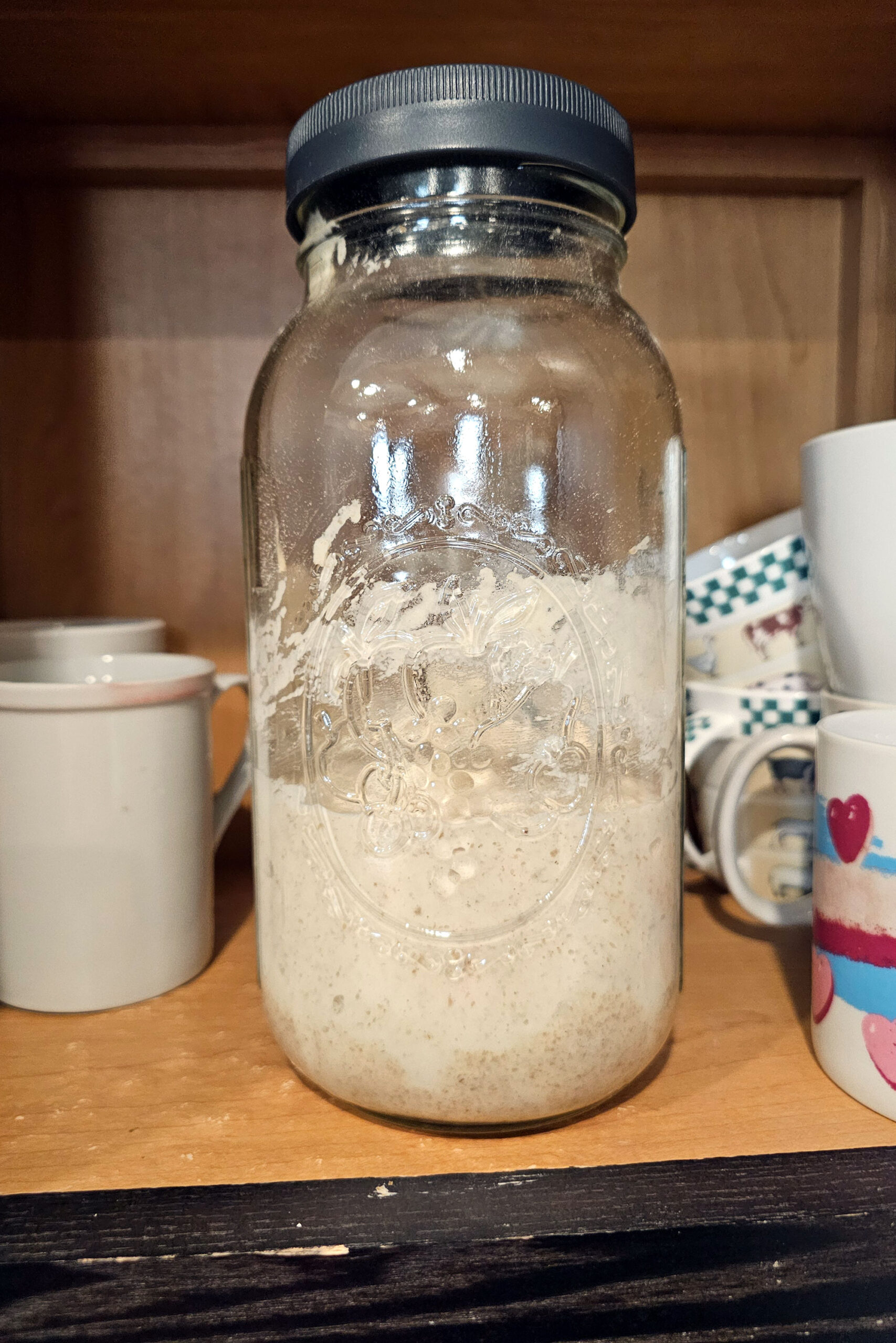 Quart jar 1/3 filled with sourdough starter. Placed in a cupboard full of coffee mugs.